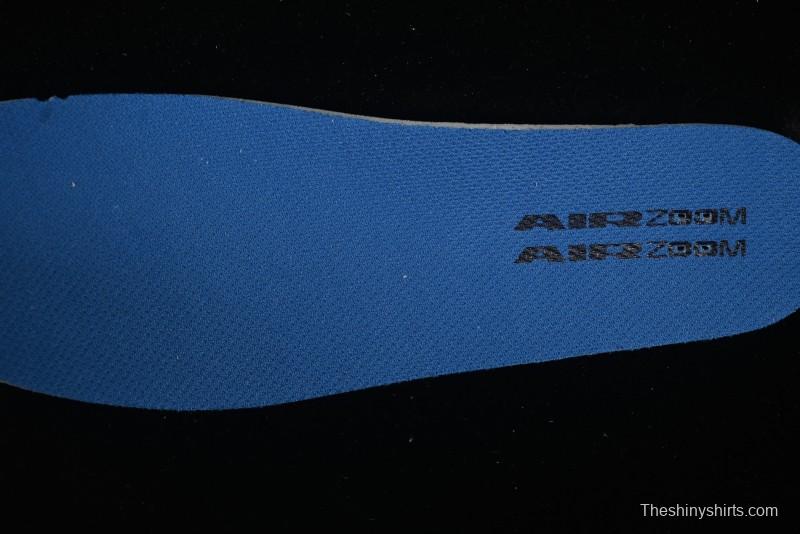 Nike SB Day One Low Top Casual Skate Shoes with Air Zoom Cushion - FN4210-100